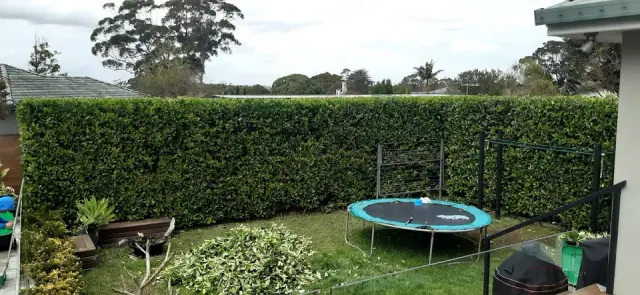 Waratah Garden Maintenance