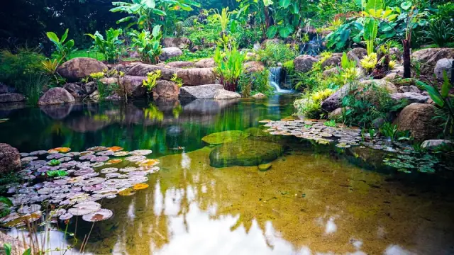 Waterscapes Australia