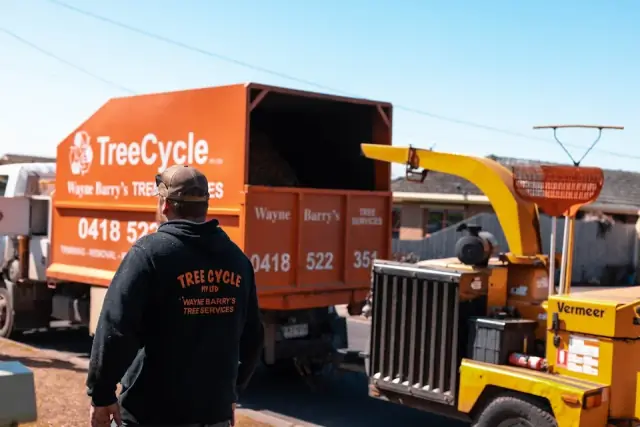 Wayne Barry's Tree Services