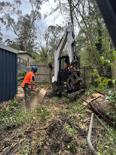 We Cut Trees