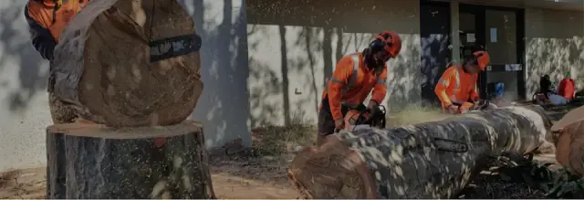 Wilkinson Tree Services
