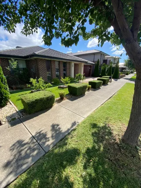 Winder Lawn Services