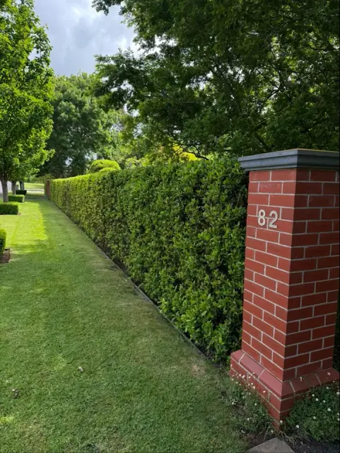 Wollaston Gardening Maintenance cover