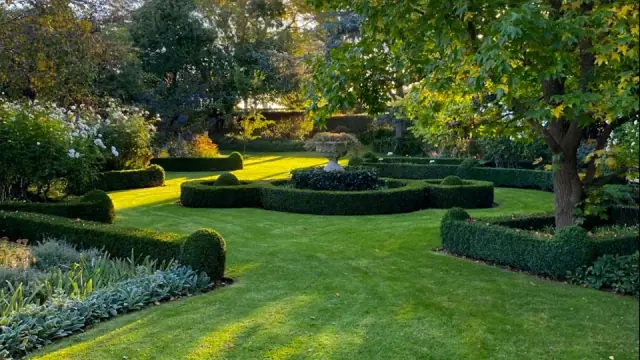 Wollaston Gardening Maintenance