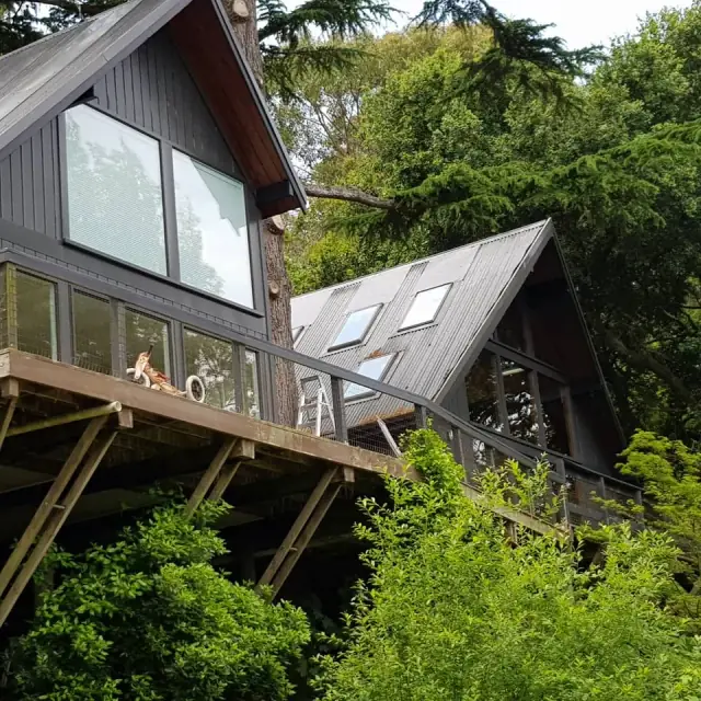 Wolverine Window & Gutter Cleaning cover