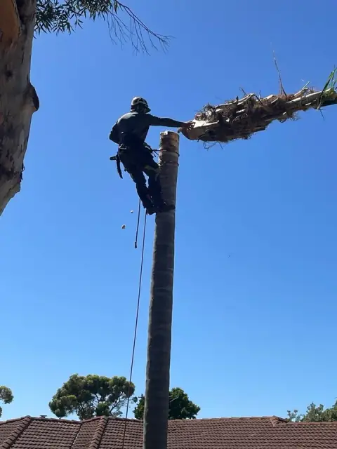 Yard Stylers