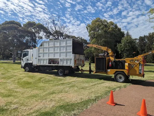 Yucca Removal Co