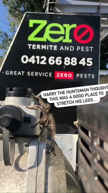Zero Termite & Pest cover