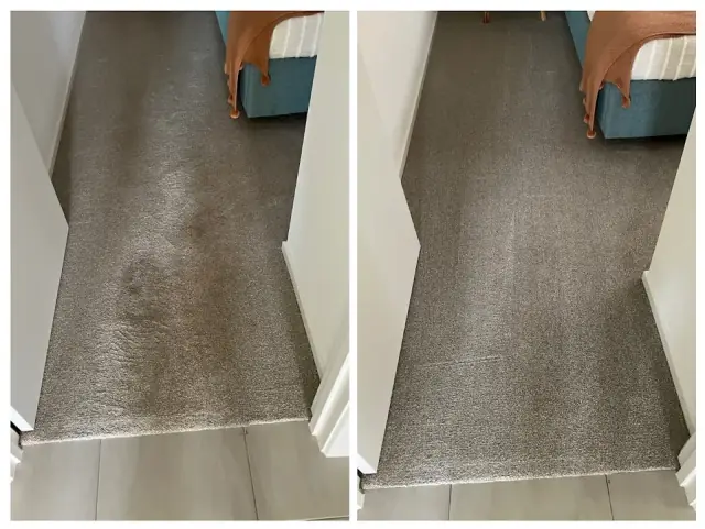 Zig Zag Carpet Cleaning cover